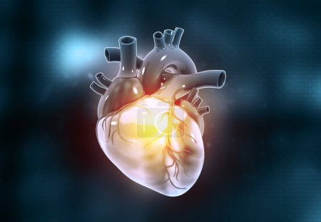 Téléchargez les photos : Coeur humain avec graphique ECG. Illustration 3d - en image libre de droit