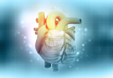 Foto de Corazón humano con gráfico ecg. ilustración 3d - Imagen libre de derechos