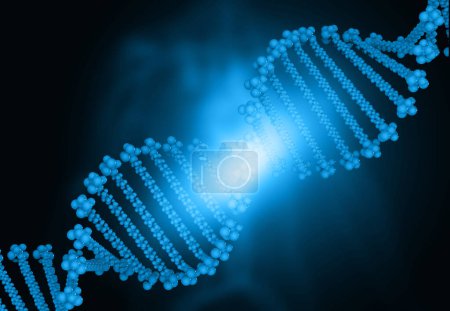 Foto de Estructura del ADN base científica. ilustración 3d - Imagen libre de derechos