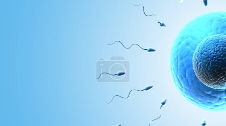Foto de Egg and sperm on blue background. 3d illustration - Imagen libre de derechos
