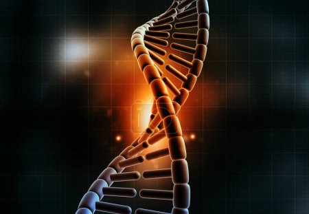 Photo for DNA strand background. 3d illustration - Royalty Free Image