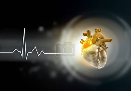 Foto de Human heart on abstract background. 3d illustration - Imagen libre de derechos