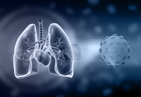 Foto de Sistema respiratorio humano con antecedentes médicos. ilustración 3d - Imagen libre de derechos