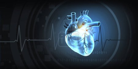 Téléchargez les photos : Structure cardiaque humaine sur fond médical bleu. Illustration 3d - en image libre de droit