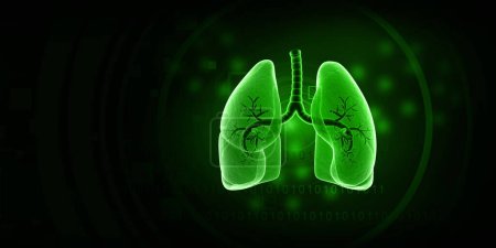 Téléchargez les photos : Anatomie pulmonaire humaine sur fond vert. Illustration 3d - en image libre de droit