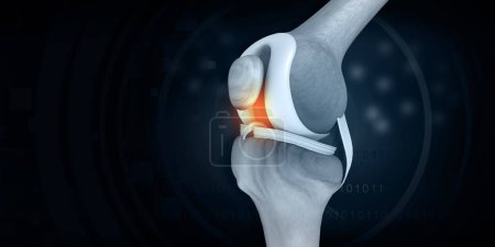 Photo for Human knee bone structure on blue background. 3d illustration - Royalty Free Image