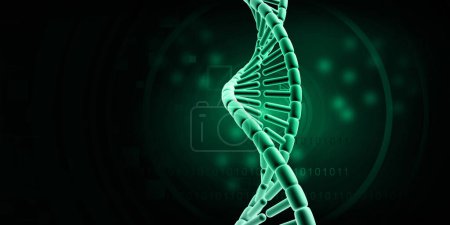 Photo for DNA strand structure on scientific background. 3d illustration - Royalty Free Image