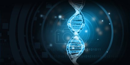 Téléchargez les photos : ADN humain sur fond numérique. Illustration 3d - en image libre de droit