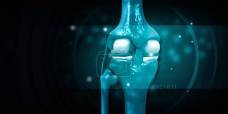 Photo for Knee joint anatomy on blue background. 3d illustration - Royalty Free Image