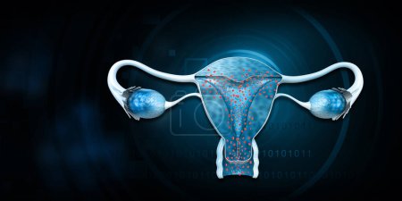 Foto de Sistema reproductor femenino sobre fondo azul. ilustración 3d - Imagen libre de derechos