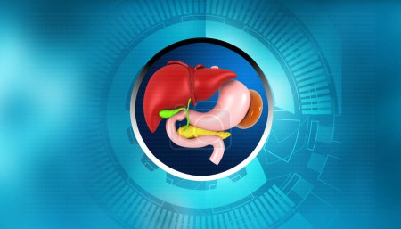 Téléchargez les photos : Anatomie du système digestif humain sur fond de technologie numérique. Illustration 3d - en image libre de droit
