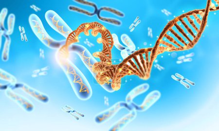 Photo for Chromosome and dna background. 3d illustration - Royalty Free Image