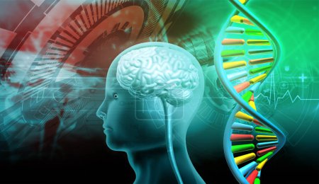 Foto de Cerebro humano y ADN en base a la tecnología. ilustración 3d - Imagen libre de derechos