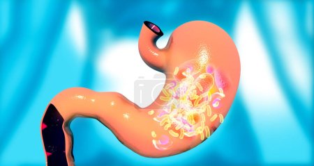 Photo for Human stomach and intestinal bacteria. 3d illustration - Royalty Free Image