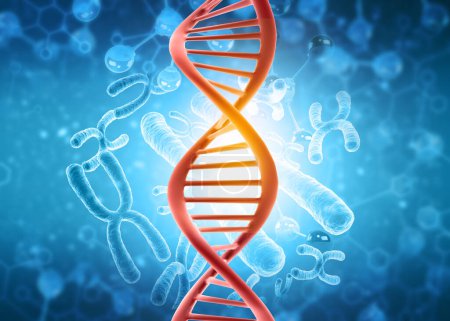 Foto de ADN con cromosomas en antecedentes médicos. ilustración 3d - Imagen libre de derechos