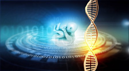 Foto de Feto y ADN en el fondo de la tecnología genética abstracta. ilustración 3d - Imagen libre de derechos