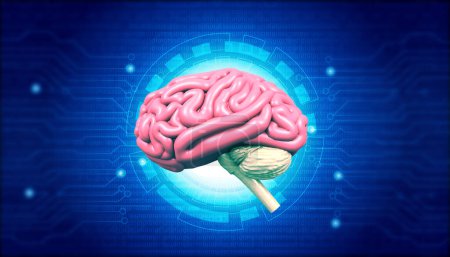 Foto de Cerebro humano con antecedentes tecnológicos. ilustración 3d - Imagen libre de derechos