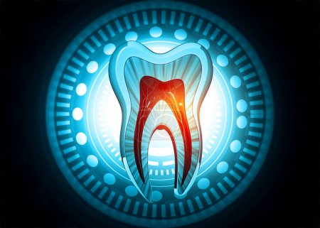 Foto de Sección transversal de dientes humanos. ilustración 3d - Imagen libre de derechos