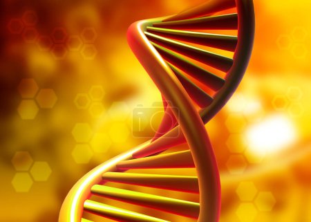 Foto de Estructura de ADN, hebras de ADN estructura molecular. ilustración 3d - Imagen libre de derechos