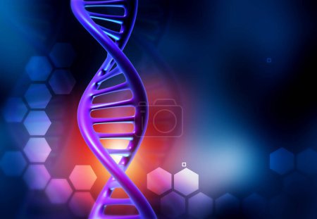 Foto de Estructura de ADN, hebras de ADN estructura molecular. ilustración 3d - Imagen libre de derechos