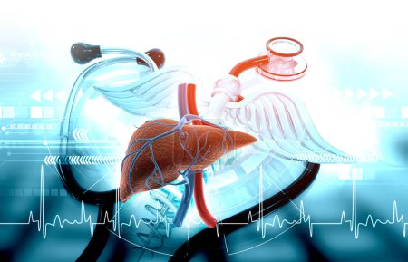 Foto de Hígado humano con antecedentes médicos. ilustración 3d - Imagen libre de derechos