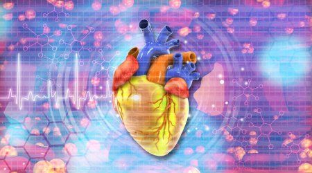Téléchargez les photos : Anatomie cardiaque humaine avec graphique ECG. Illustration 3d - en image libre de droit