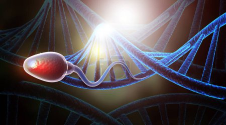 Foto de Célula de esperma con hebra de ADN. ilustración 3d - Imagen libre de derechos