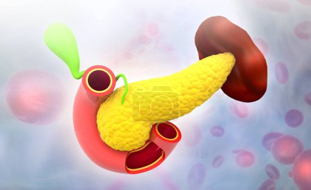 Photo for Human pancreas on medical background. 3d illustration - Royalty Free Image