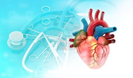 Téléchargez les photos : Anatomie cardiaque humaine sur fond médical. Illustration 3d - en image libre de droit