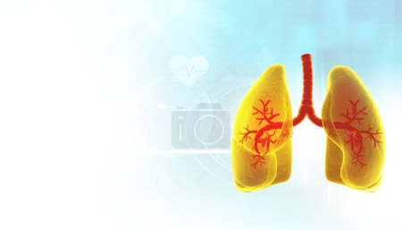 Photo for Human lungs anatomy.3d illustration - Royalty Free Image