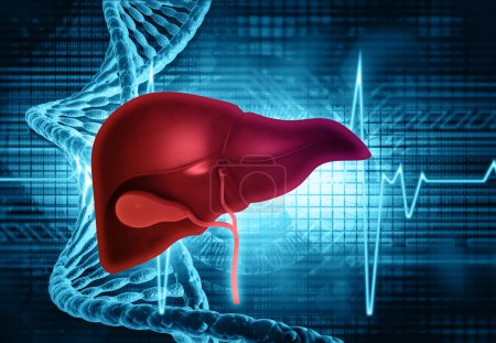 Photo for Healthy human liver in DNA background. 3d illustration - Royalty Free Image