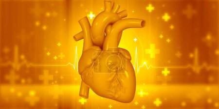 Téléchargez les photos : Anatomie cardiaque humaine sur fond médical. Illustration 3d - en image libre de droit