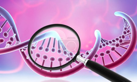 Photo for DNA strand with magnifying glass. 3d illustration - Royalty Free Image