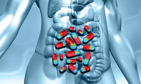 Téléchargez les photos : Système digestif humain avec des pilules médicinales. Illustration 3d - en image libre de droit