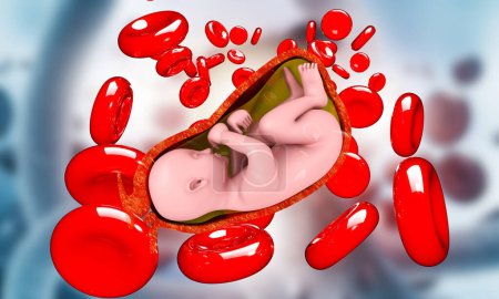 Photo for Human fetus on blood cells background. 3d illustration - Royalty Free Image