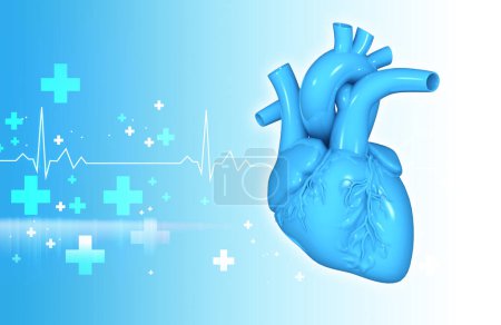 Téléchargez les photos : Coeur humain sur fond médical. Illustration 3d - en image libre de droit