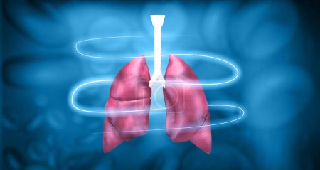 Photo for Healthy human lungs on medical background. 3d illustration - Royalty Free Image