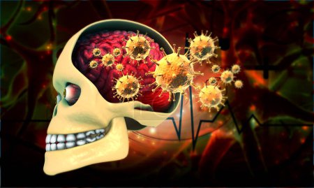 Foto de Calavera humana y cerebro con virus. ilustración 3d - Imagen libre de derechos