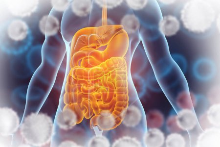 Téléchargez les photos : Appareil digestif humain antécédents médicaux. Illustration 3d - en image libre de droit