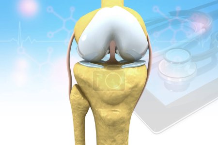 Foto de Anatomía de la articulación de rodilla. ilustración 3d - Imagen libre de derechos