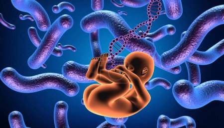 Téléchargez les photos : Fœtus humain Concept médical. Illustration 3d - en image libre de droit
