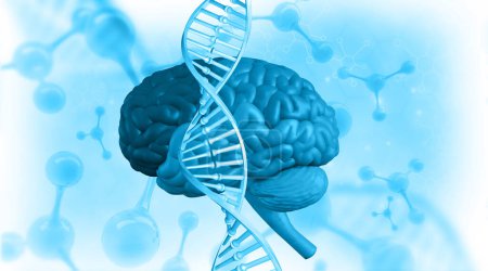 Téléchargez les photos : Anatomie cérébrale humaine avec ADN. Illustration 3d - en image libre de droit