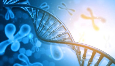 Téléchargez les photos : ADN et antécédents scientifiques chromosomiques - en image libre de droit
