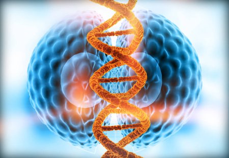 Photo for DNA strand on scientific background. 3d illustration - Royalty Free Image