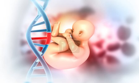 Human fetus with dna strand. 3d illustration	