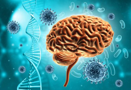 Foto de Anatomía cerebral humana en ADN, antecedentes de virus. ilustración 3d - Imagen libre de derechos