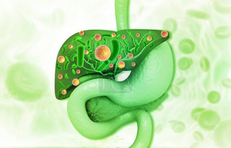 Téléchargez les photos : Virus dans le système digestif du foie humain. Illustration 3d - en image libre de droit