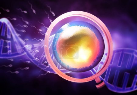 Photo for Human Egg and sperm under magnifying glass. 3d illustration - Royalty Free Image