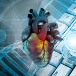 Human heart on stethoscope with computer keyboard background. 3d illustration	