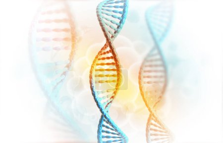 Téléchargez les photos : Antécédents ADN humains. Illustration 3d - en image libre de droit